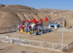 油(you)田遠(yuan)程數據監控係(xi)統